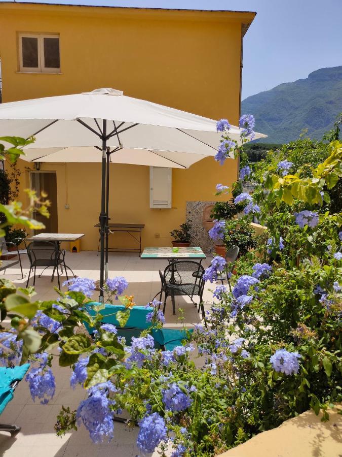 B&B Il Vialetto Castellammare di Stabia Dış mekan fotoğraf